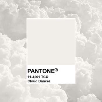 Pantone выбрал главный цвет 2026 года Pantone выбрал главный цвет 2026 года