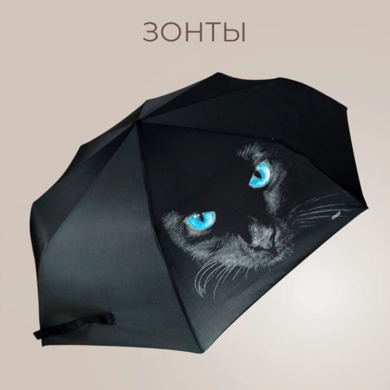 Зонты