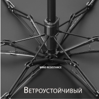 МИНИ-зонт Umbr-5-06 