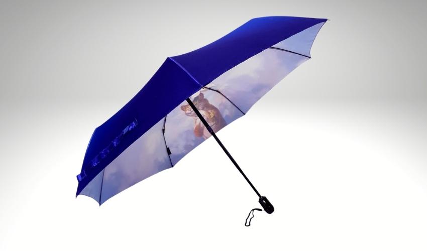 Новое поступление модных зонтов